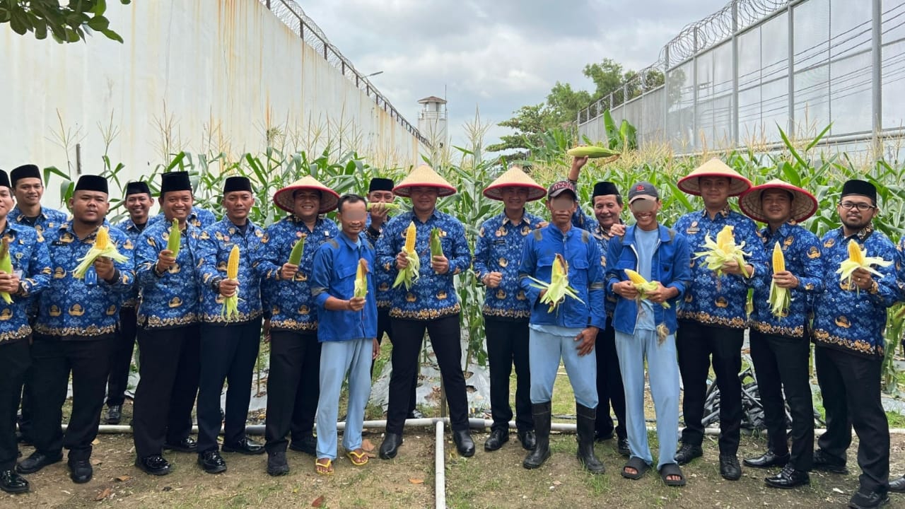 Dukung Program Ketahanan Pangan, Rutan Batam Sukses Panen Jagung Sebanyak 250kg