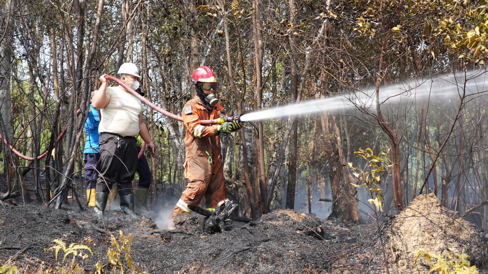 Tinjau Kebakaran Hutan, Ariastuty Imbau Masyarakat Waspadai Setiap Tindakan